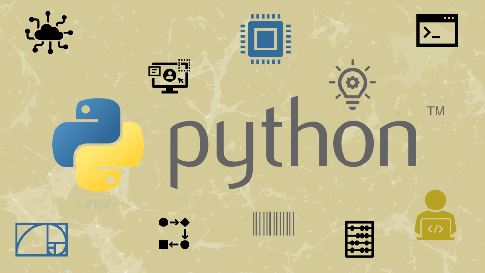 Python programming course